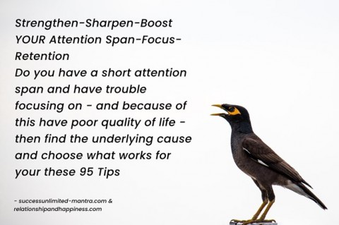 strengthensharpenboost-your-attention-spanfocusretentiondo