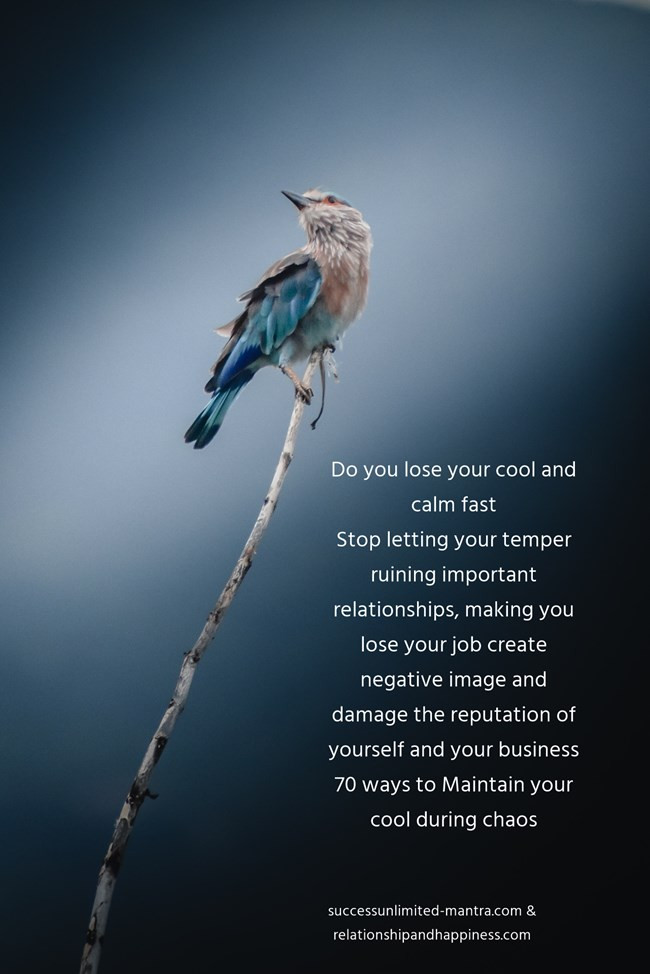 do-you-lose-your-cool-and-calm-faststop-letting-your-temper
