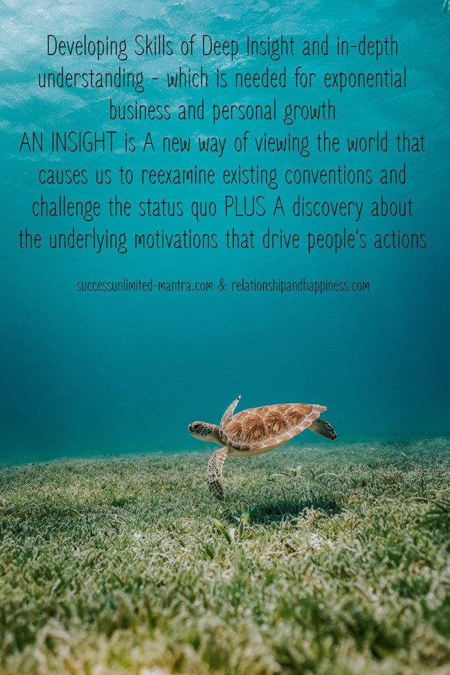 developing-skills-of-deep-insight-and-indepth-understanding